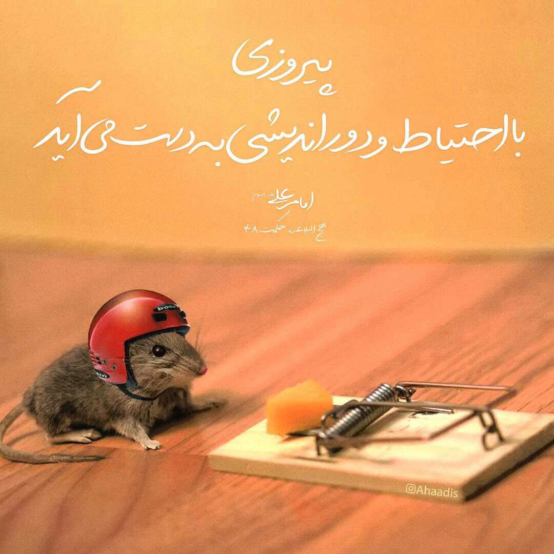 حدیثی از امام علی در مورد پیروزی